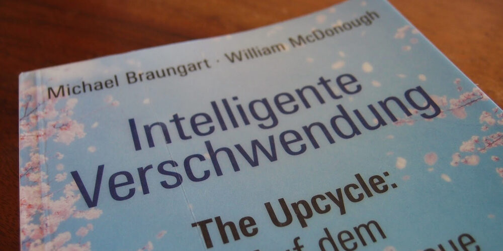 Buch intelligente Verschwendung